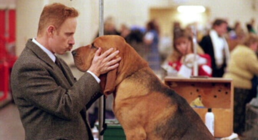 /film_images/best in show 2.jpg